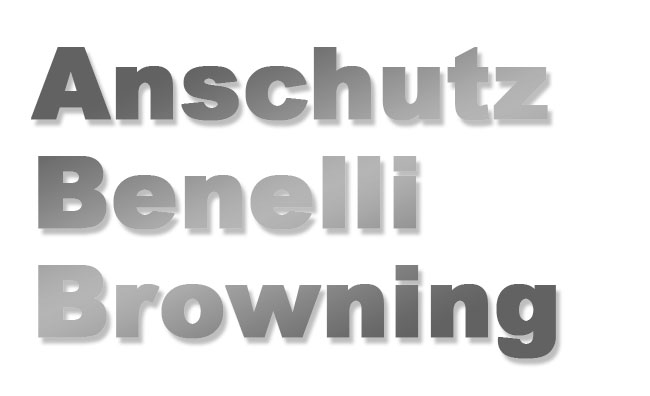 Anschutz / Benelli / Bergara / Browning
